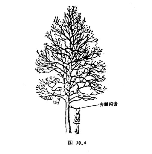 你見過被雷電擊斃的人嗎-旁側(cè)閃擊