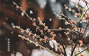 小雪時節(jié)寒氣重-保暖御寒為首要-易造防雷