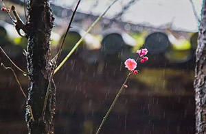 雨水-春雨至,萬(wàn)物生--易造防雷