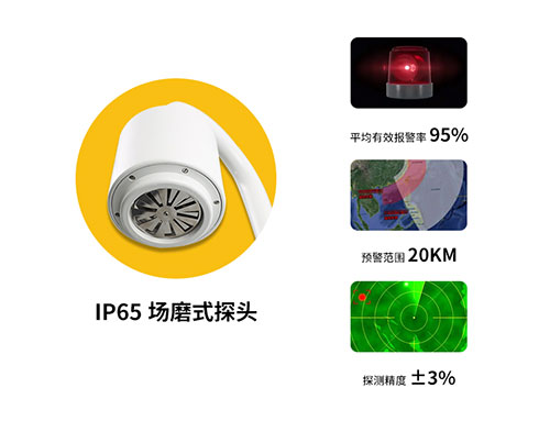 EW 3.0 雷電預警系統(tǒng)組成-IP65探頭